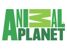 Animal Planet Online live 