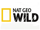Nat Geo Wild Online live 