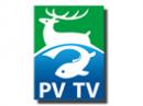 PV TV Online live 